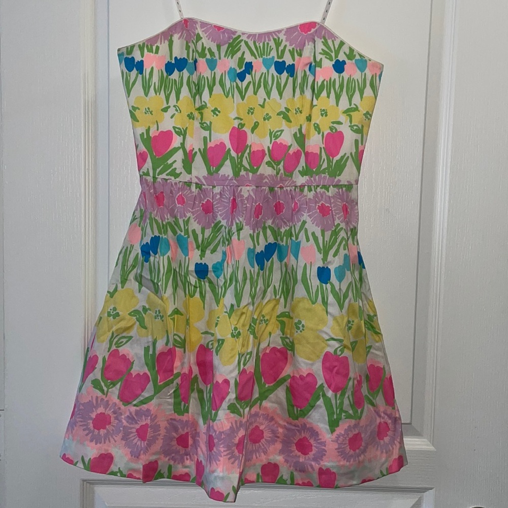 Lily Pulitzer Payton Dress